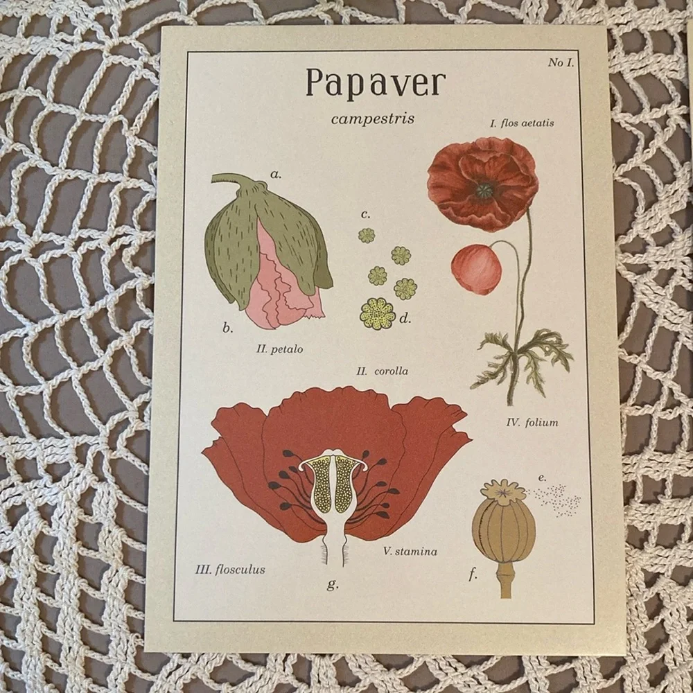 New IKEA Vintage Flowers Botanical Prints Set By Maria Mendez